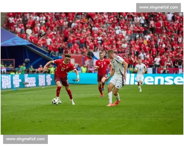 体育数据手机版全新升级实时比分赛事分析与球员数据一站掌握体验更精彩